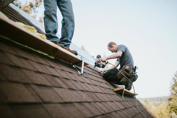 Quick and Trustworthy Emergency Roof Repair Services in Sugar Land, TX